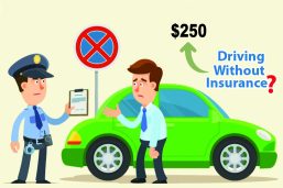 You can be fined up to $250