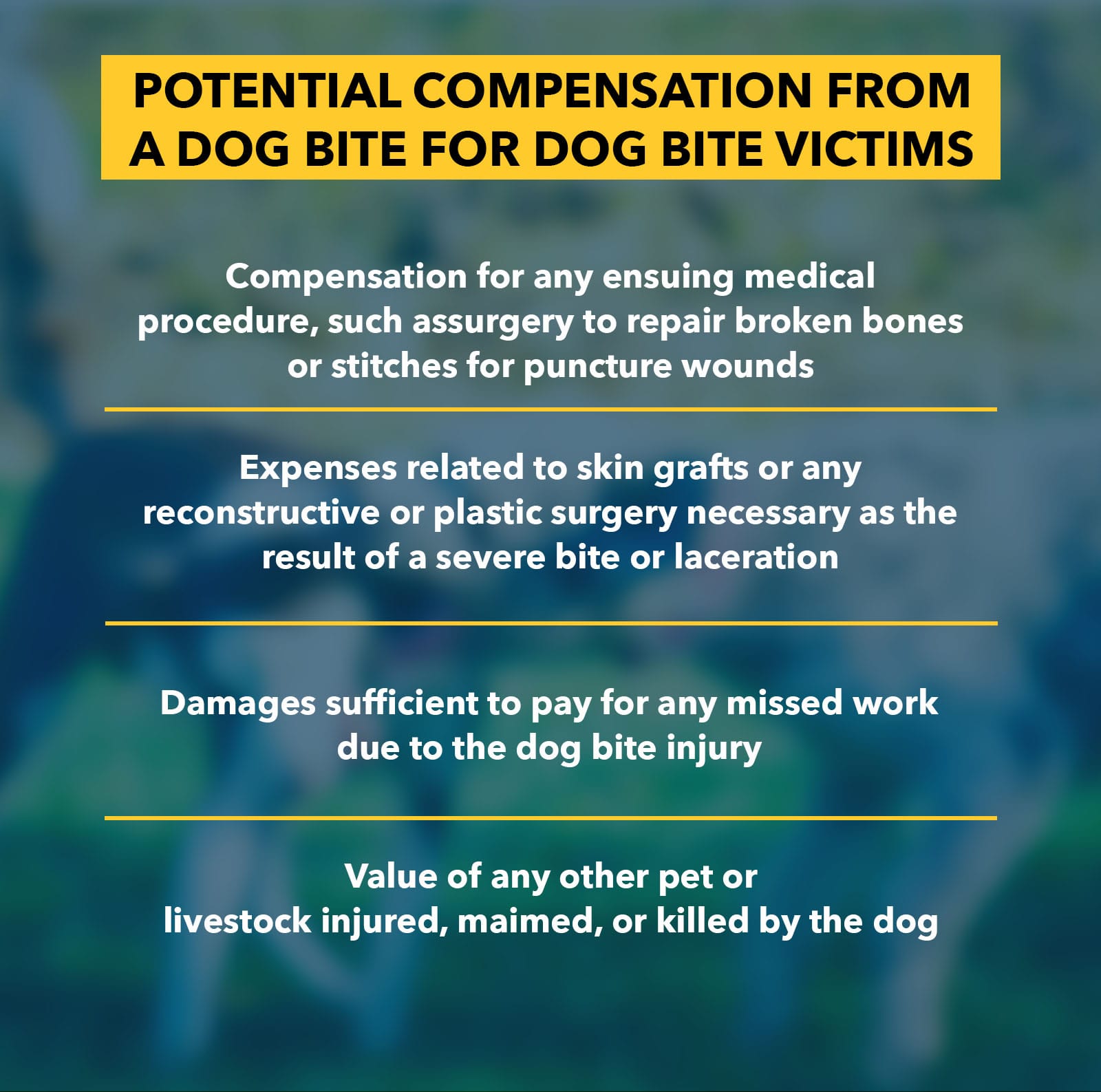 Oklahoma City Dog Bite Lawyer | Hasbrook & Hasbrook