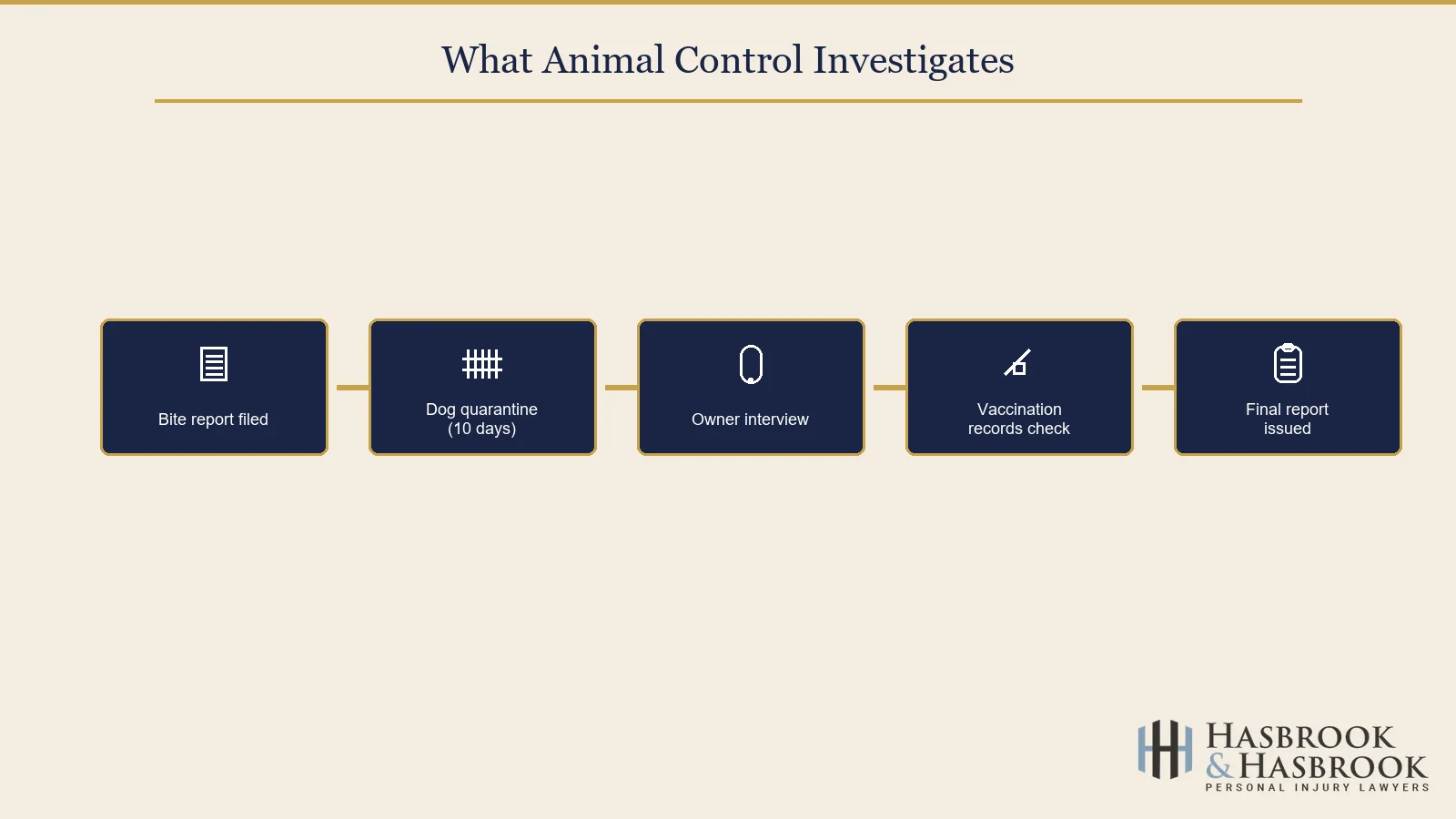 Animal control investigation process diagram