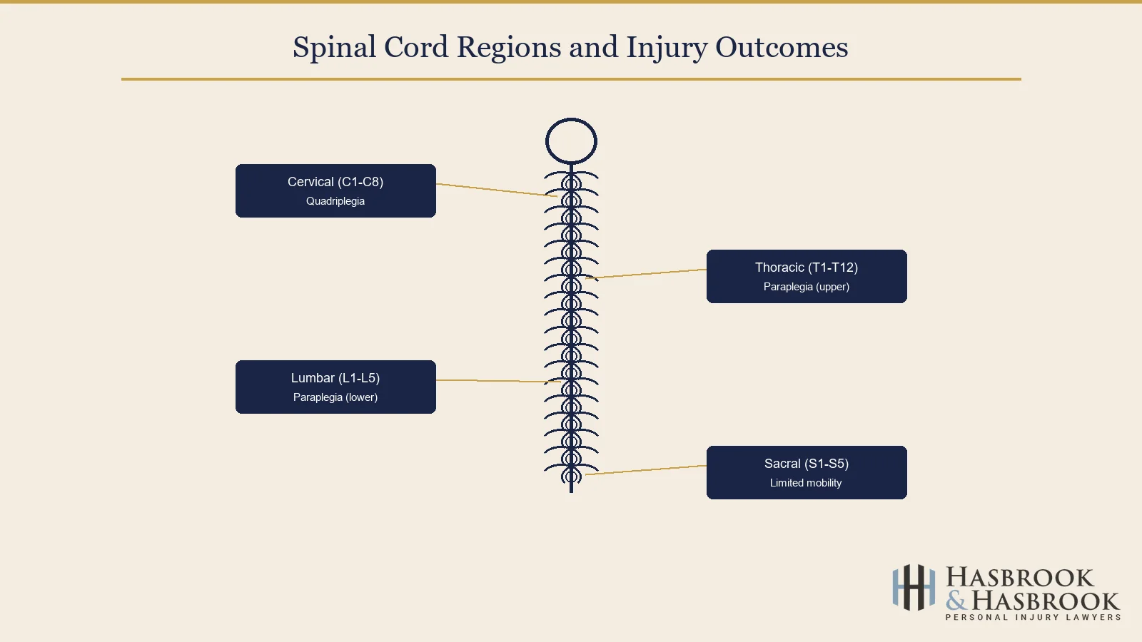Spinal cord regions and injury outcomes diagram