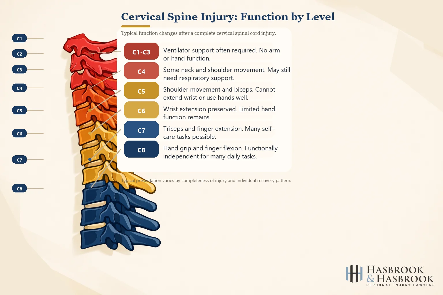 Cervical spine C1-C8 anatomical diagram showing function loss by injury level